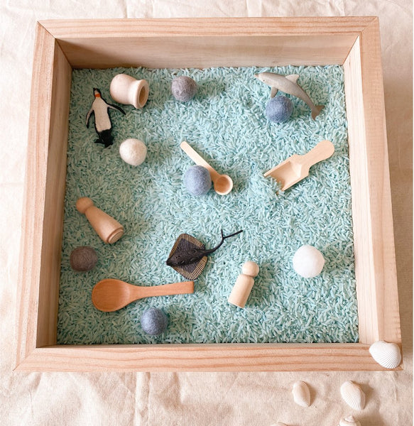Sensory Accessories